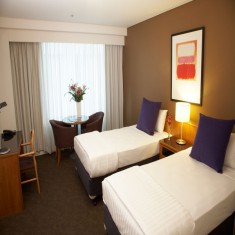 Suite Room